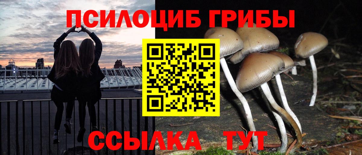 Симферополь  Псилоцибиновые грибы Psilocybe  Вход с VPN 